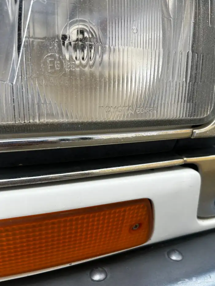 في اكس ار فل الفل بدي بلد تماتيك 13