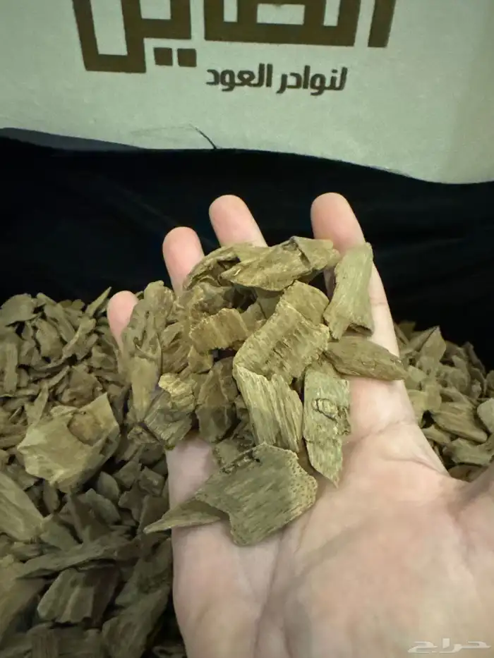 عود مروكي طبيعي 100   100 فخامه لا متناهيه 2