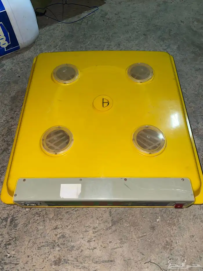 فقاسه عون المربي 98 بيضة 1