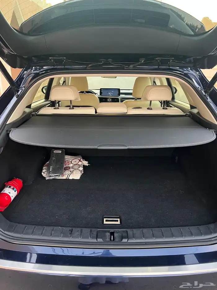 لكزس RX 350 موديل 2020 13