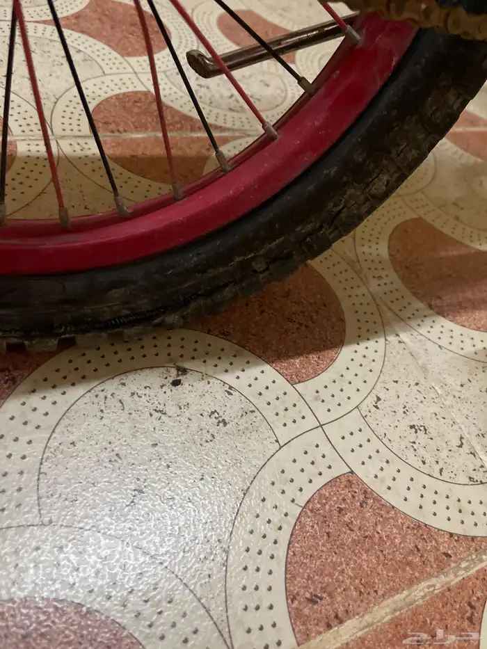 سيكل مقاس 16 على السوم 2