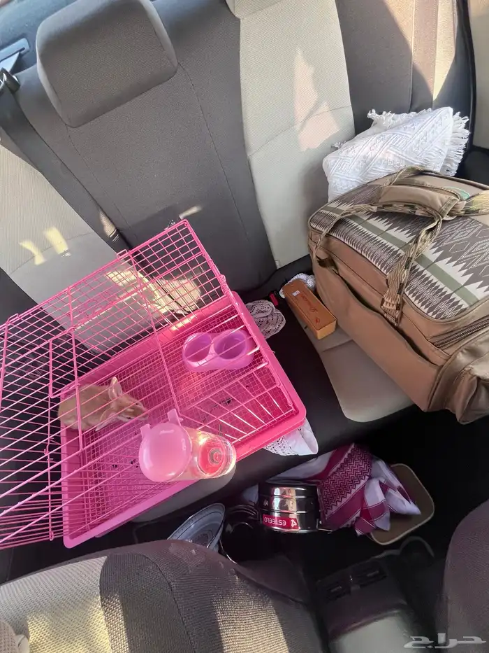 ارنب مع القفص 50 ريال بس 1