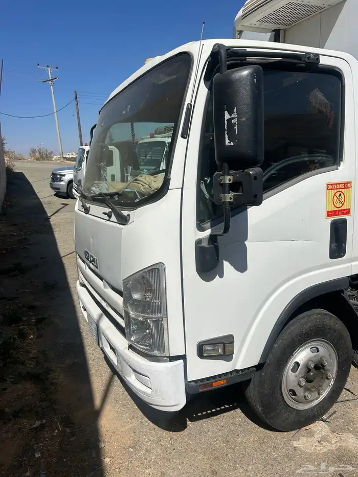 دينا ايسوزو 2014 للبيع 5