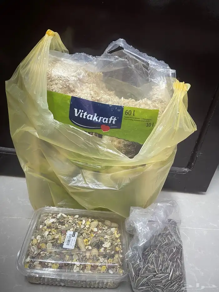 هامستر مع اغراضه كامله 2