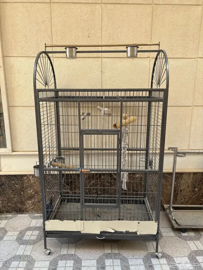 قفص للطيور الكبار 2