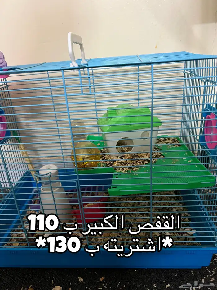 همسترات اليفه 2