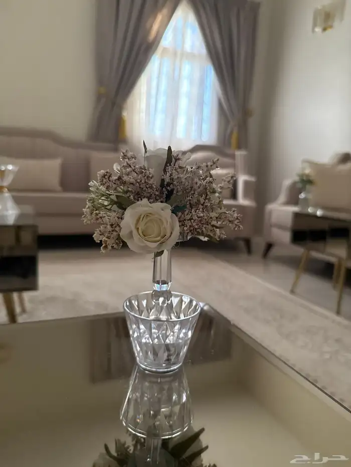 متوفر 12 حبه 0