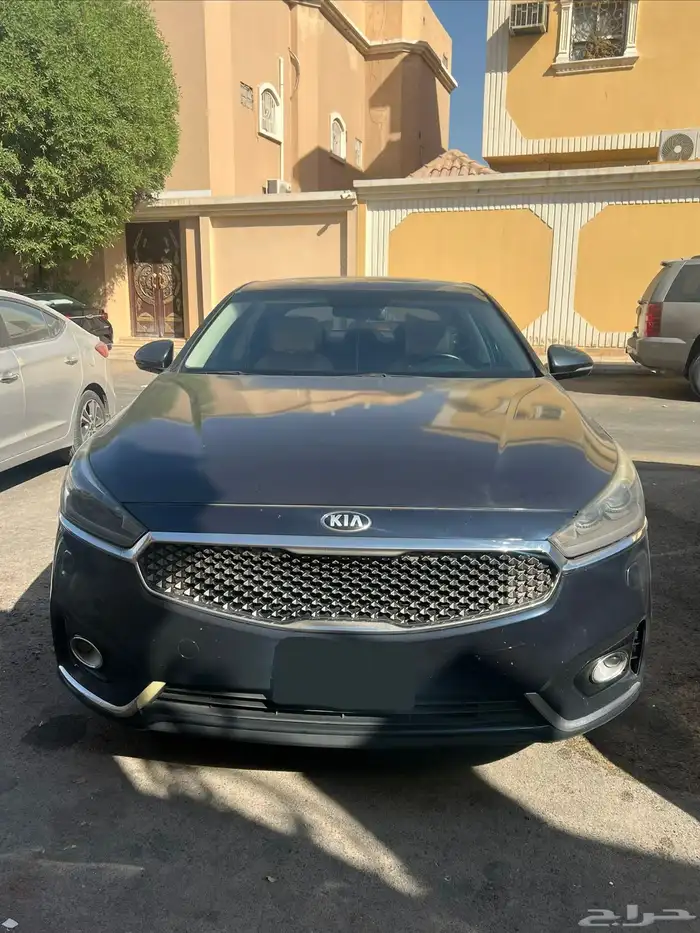 كادينزا 2019 3