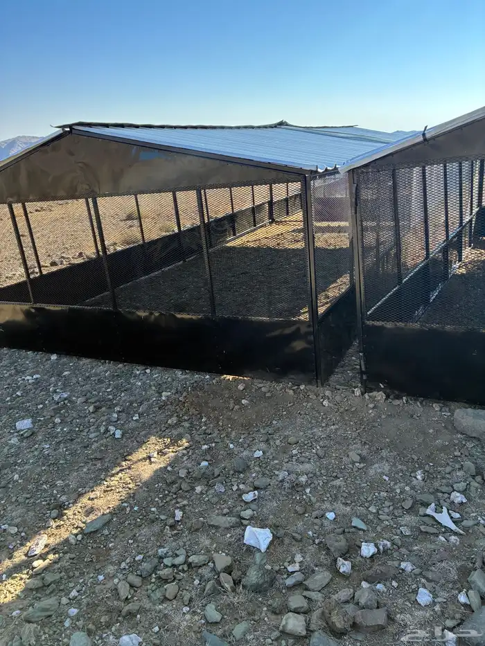 شبوك حلال 12