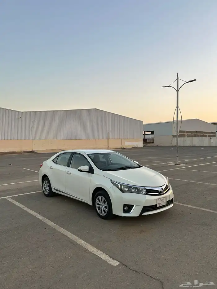 كورلا14 نص فل 1