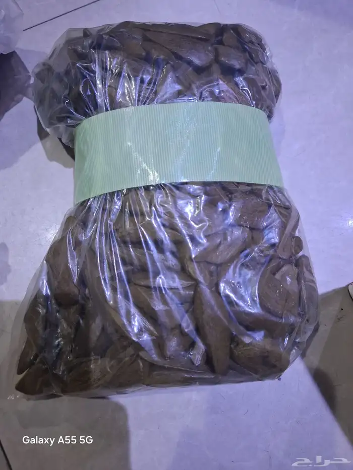 عود كبودي ومروكي 1