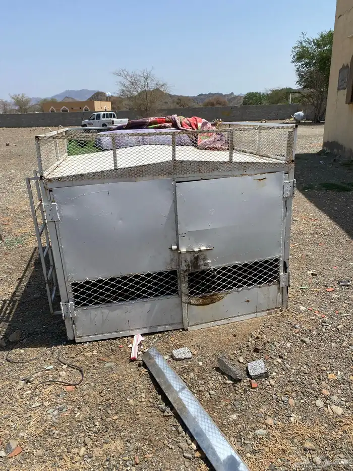 صندقه حقت ددسن غماره وهيلكس 2