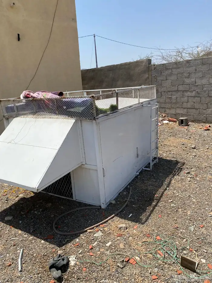 صندقه حقت ددسن غماره وهيلكس 0