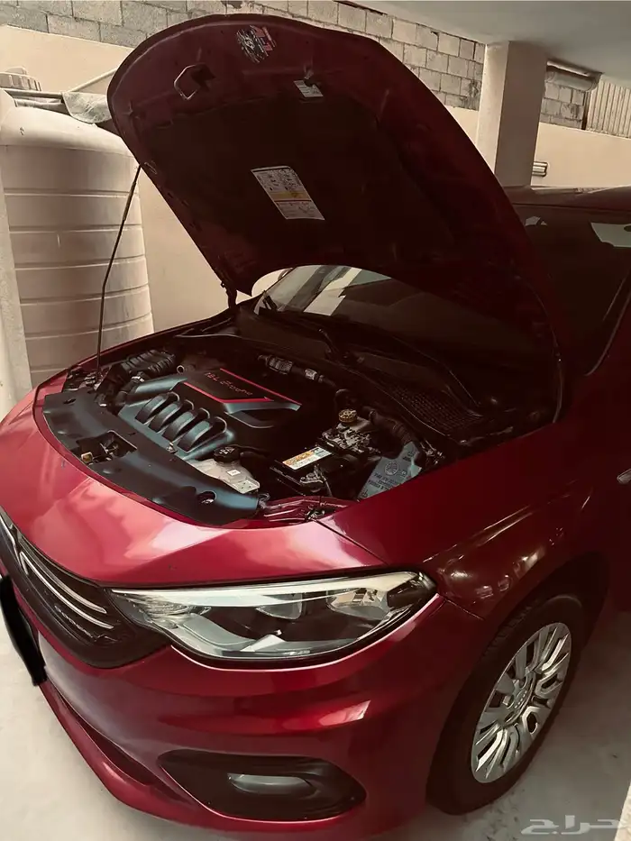 دودج نيون 2017 23