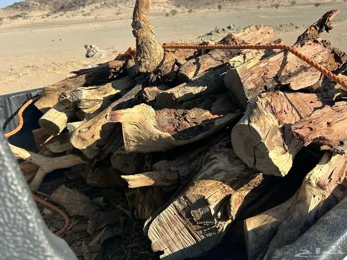 حطب مستورد 5