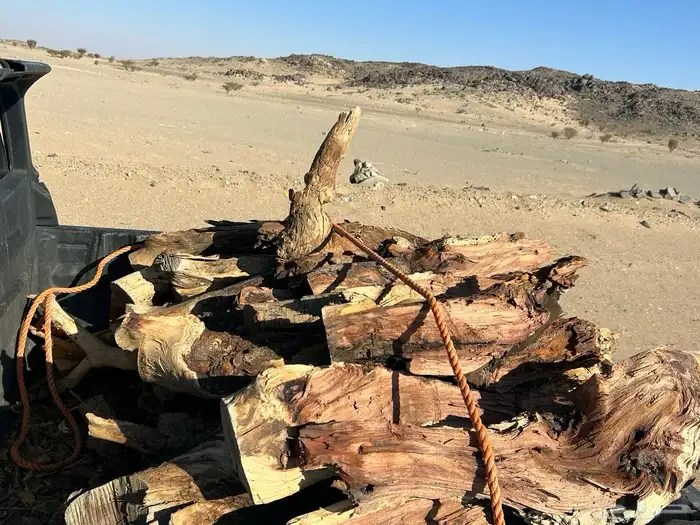 حطب مستورد 4