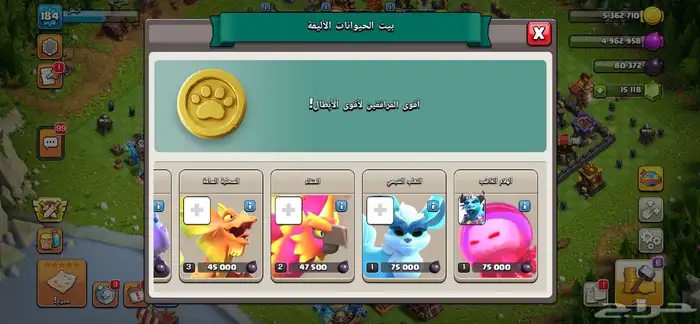 حساب للبيع 5