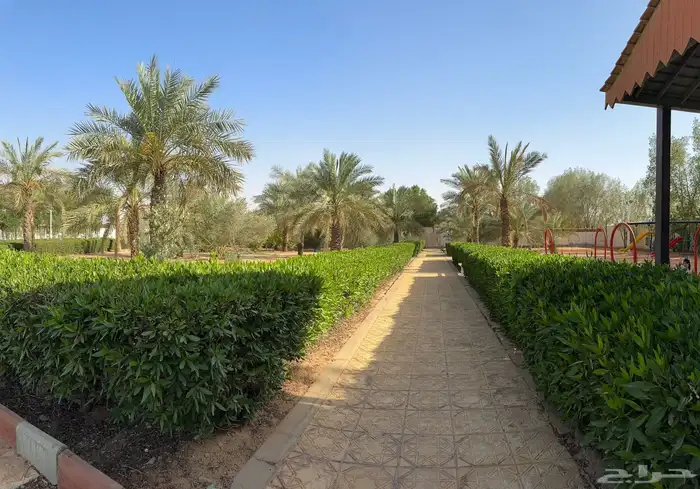 مزرعة لارا للاجار اليومي والسنوي 7