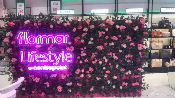 اشجار جهنمية وزيتون 3