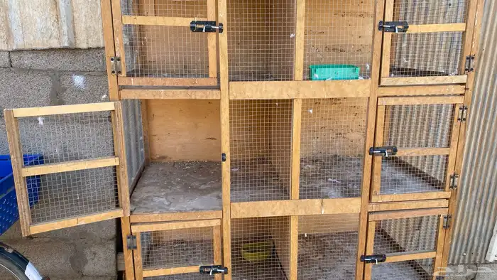 محكر ابو 8 خنات حمام 3