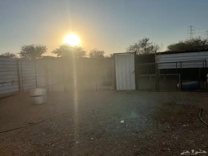 حظيره أغنام 5