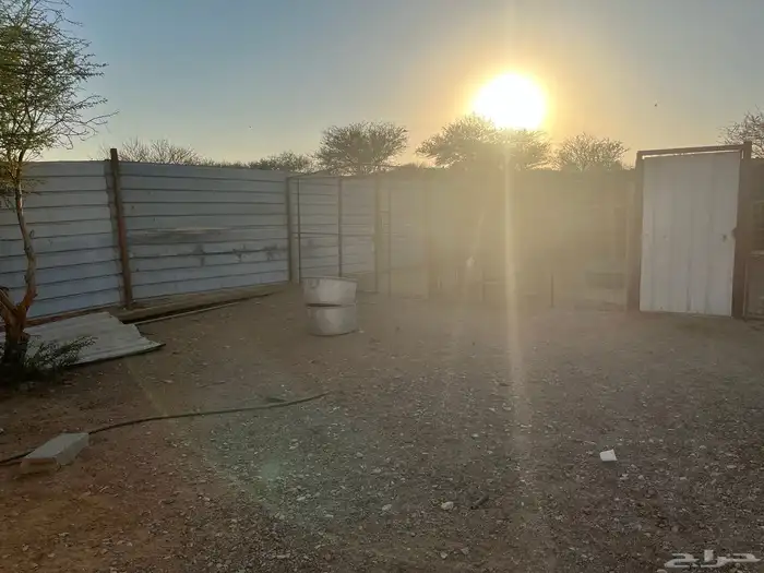 حظيره أغنام 3