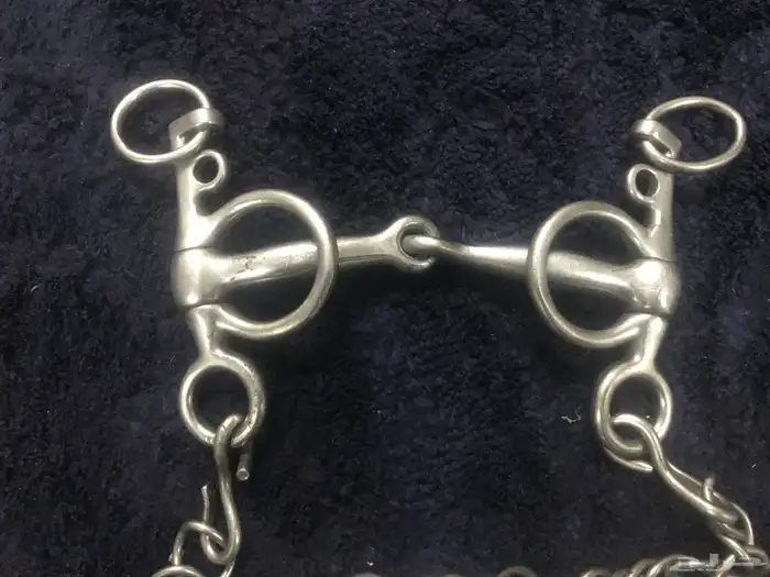 شكيمه سلسله والبيع سمع 1