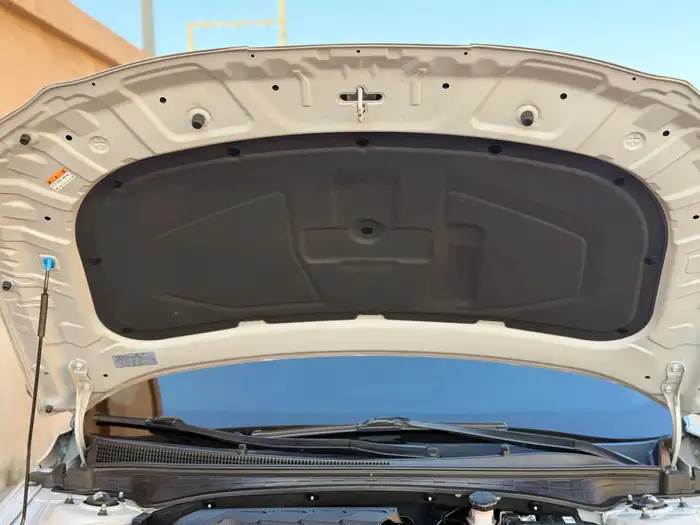 النترا 2023 بنزين 39