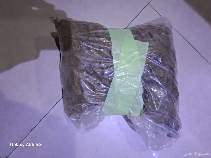 عود كبودي ومروكي 0