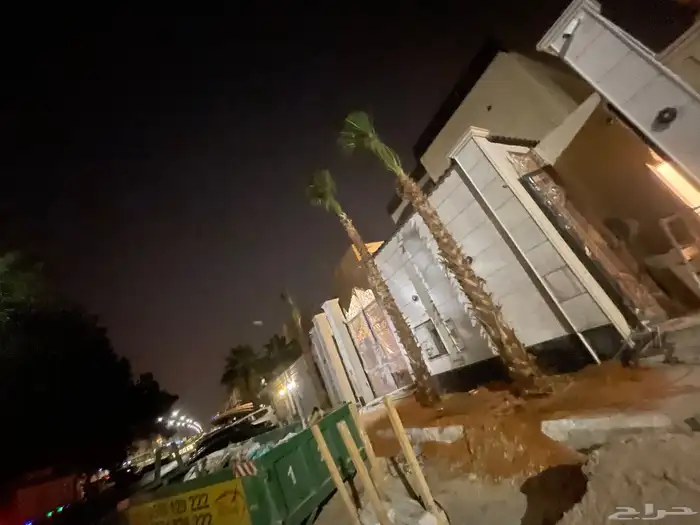 نخيل واشنطن للبيع 5