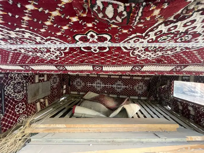 طربال الاختيار جيب شاص 7