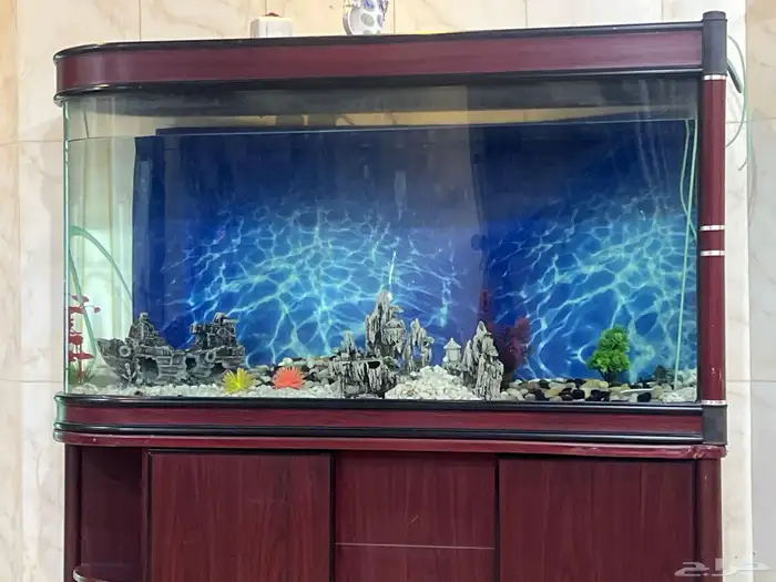 حوض اسماك متر ونص الى مترين 1