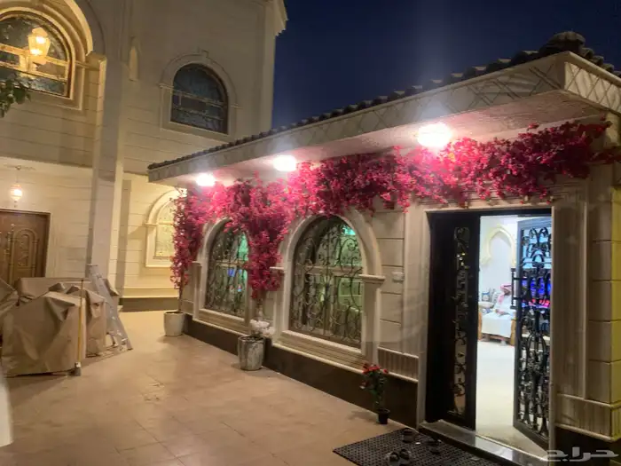 اشجار جهنمية وزيتون 13