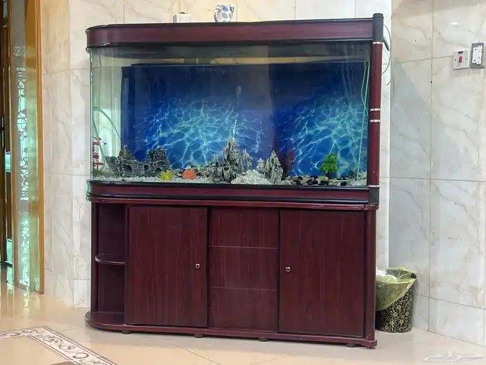 حوض اسماك متر ونص الى مترين 0