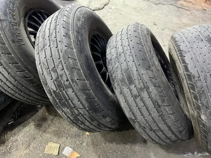 جنوط برايد معا كفرات هامان 900 16 8