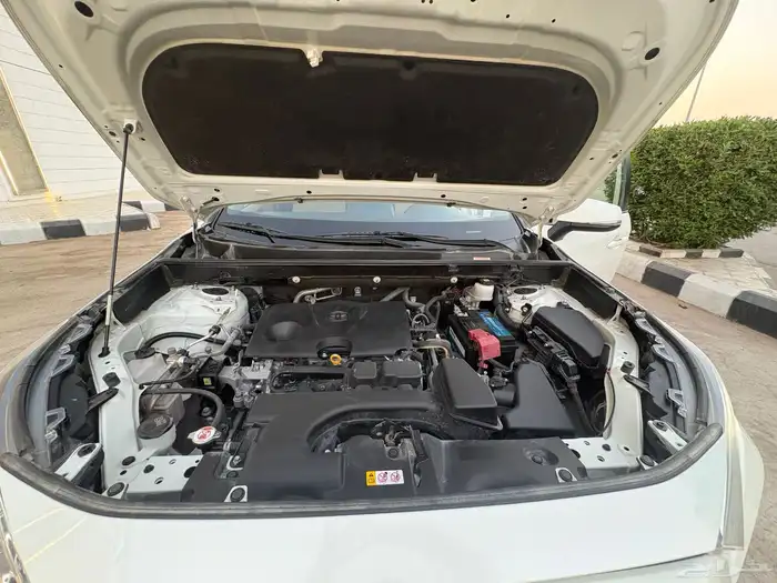 راف فور 2022 دبل 10