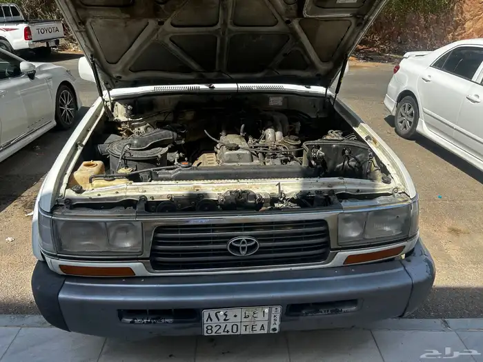 في اكس ار فل الفل بدي بلد تماتيك 12