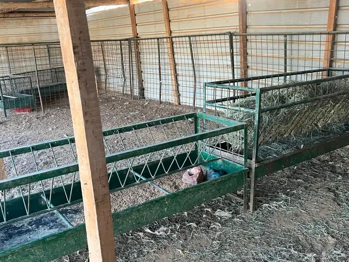 حظيره أغنام 1