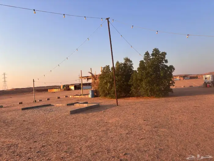 مخيم للبيع ( تم البيع ) 9