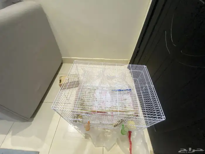 قفص 601 واكل 0