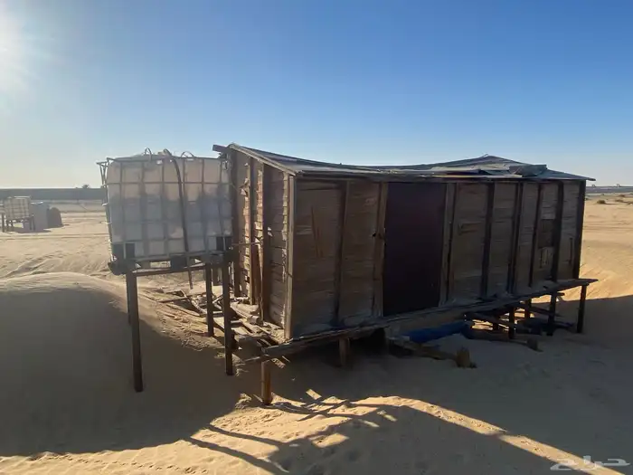 عزبة غرب المطار 11