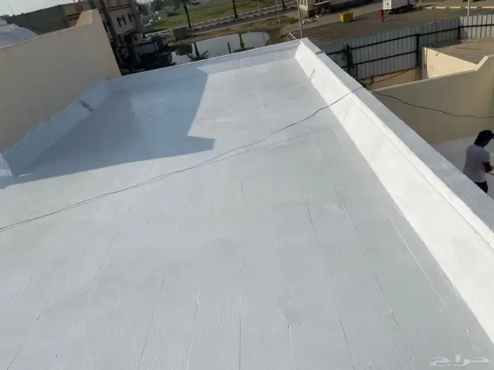 جميع اعمال الدهانات عوازل ديكورات 15