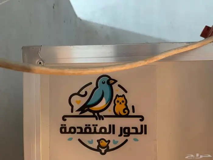 فقاسة156 بيضة باقي ضمانها ساري استخدام مرتين 0