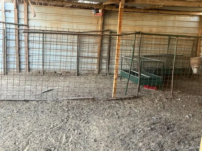 حظيره أغنام 2