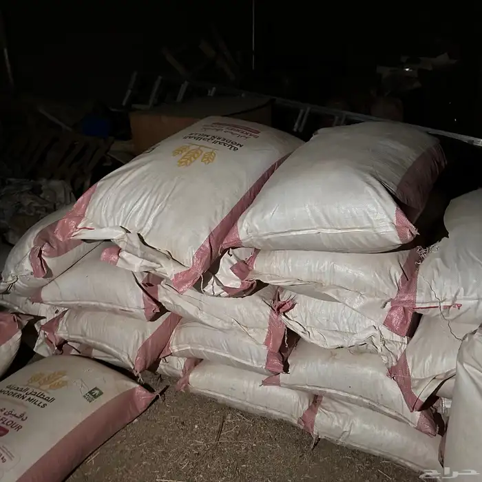 حشف تمر سعف مع تمرمخلوط مكينه حلال حشف مواشي وغنم للبيع سعف 4