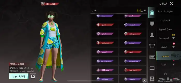 حساب ببجي 17