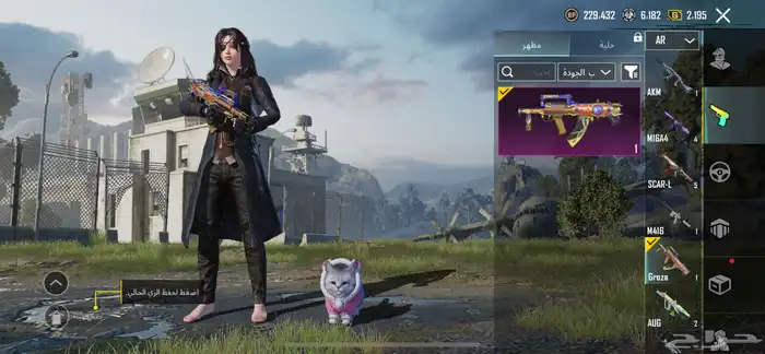 حساب ببجي للبيع 11