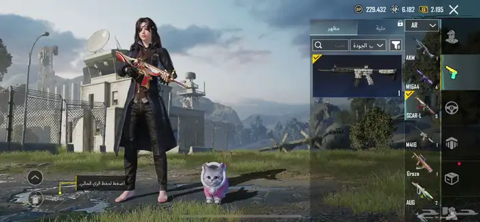 حساب ببجي للبيع 12