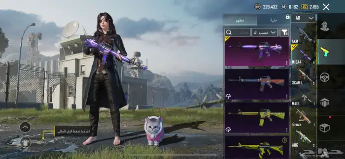 حساب ببجي للبيع 10