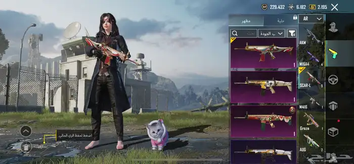 حساب ببجي للبيع 13